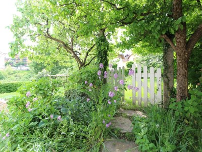 Holiday house Malerisches Ferienhaus in Belluno mit Gemeinschaftsgarten - Outdoor photo 14