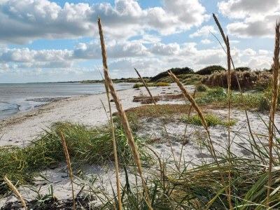 Holiday house Luxury Retreat with Spa - By Traum Ferienwohnungen - Outdoor photo 35