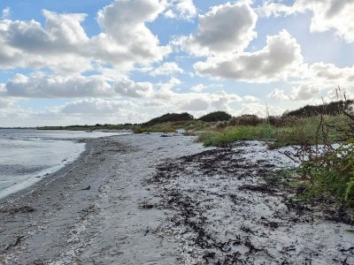 Holiday house Luxury Retreat with Spa - By Traum Ferienwohnungen - Outdoor photo 36