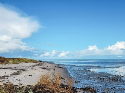 Holiday house Luxury Retreat with Spa - By Traum Ferienwohnungen - Outdoor photo 37