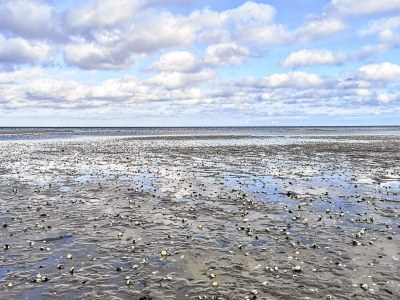 Holiday house Luxury Retreat with Spa - By Traum Ferienwohnungen - Outdoor photo 39