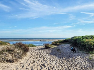 Holiday house Luxury Retreat with Spa - By Traum Ferienwohnungen - Outdoor photo 40