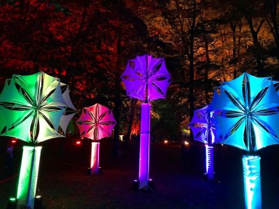 Apartment Ferienwohnung Meeresrausch in Ahlbeck - Environment photo 20