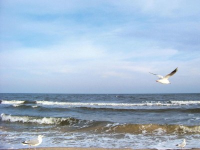 Apartment Ferienwohnung Meeresrausch in Ahlbeck - Outdoor photo 27