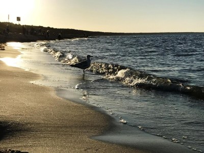 Apartment Apartment in Trassenheide for 4 Personen - Outdoor photo 29