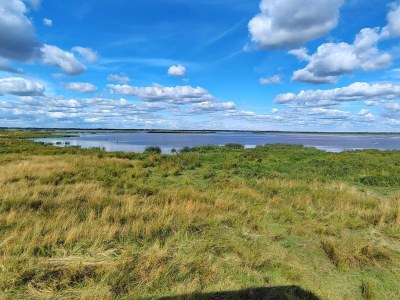 Holiday house 6 person holiday home in Hemmet-By Traum - Outdoor photo 6