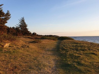 Holiday house 6 person holiday home in Hemmet-By Traum - Outdoor photo 18