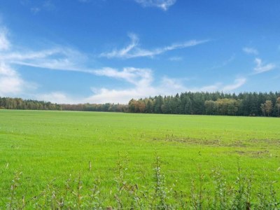 Holiday house Ferienhaus in Goirle mit Sauna für 4 Von Belvilla - Environment photo 32