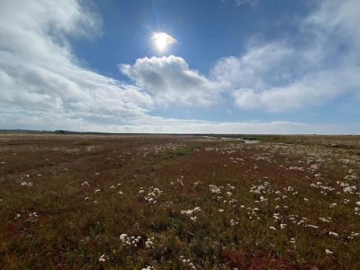 Holiday house 6 person holiday home in Læsø-By Traum - Outdoor photo 16