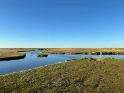 Holiday house 6 person holiday home in Læsø-By Traum - Outdoor photo 37