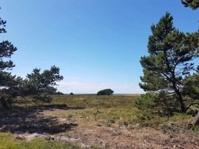 Holiday house 6 person holiday home in Læsø-By Traum - Outdoor photo 38