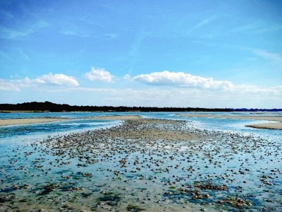 Holiday house 6 Personen Ferienhaus in Jægerspris-By Traum - Outdoor photo 8