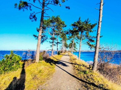 Holiday house 6 Personen Ferienhaus in Jægerspris-By Traum - Outdoor photo 15