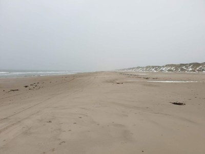 Holiday house 8 Personen Ferienhaus in Saltum-By Traum - Outdoor photo 3