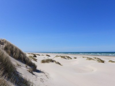 Holiday house 8 Personen Ferienhaus in Saltum-By Traum - Outdoor photo 4