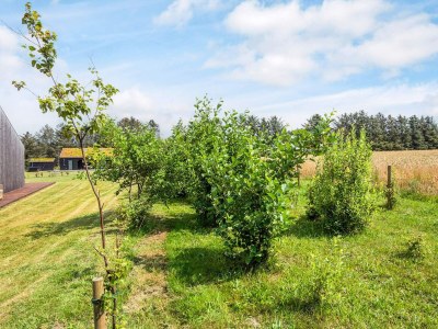 Holiday house 8 Personen Ferienhaus in Saltum-By Traum - Outdoor photo 28