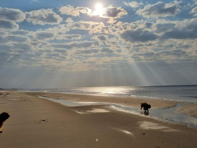 Holiday house 8 Personen Ferienhaus in Saltum-By Traum - Outdoor photo 32