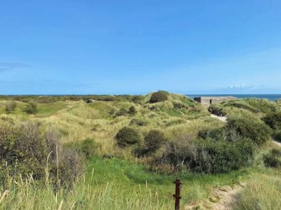 Holiday house 8 person holiday home in Skagen-By Traum - Outdoor photo 2