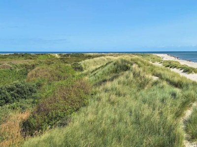 Holiday house 8 person holiday home in Skagen-By Traum - Outdoor photo 5