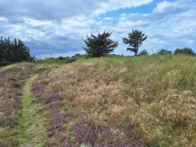 Holiday house 8 person holiday home in Skagen-By Traum - Outdoor photo 14