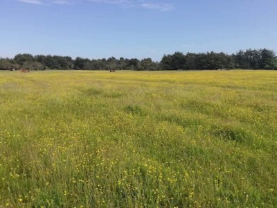 Holiday house 8 person holiday home in Skagen-By Traum - Outdoor photo 15