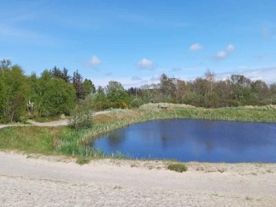 Holiday house 8 person holiday home in Skagen-By Traum - Outdoor photo 20