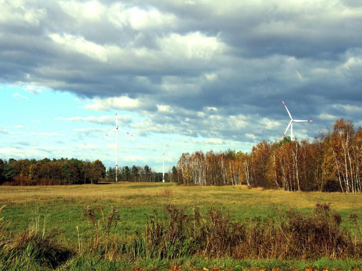 Holiday house Ferienhaus am Partwitzer See, Elsterheide - Outdoor photo 2