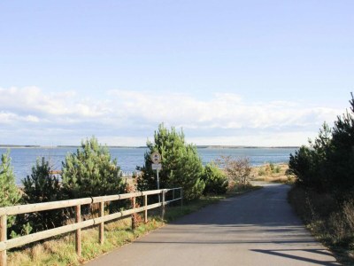 Holiday house Ferienhaus am Partwitzer See, Elsterheide - Environment photo 11