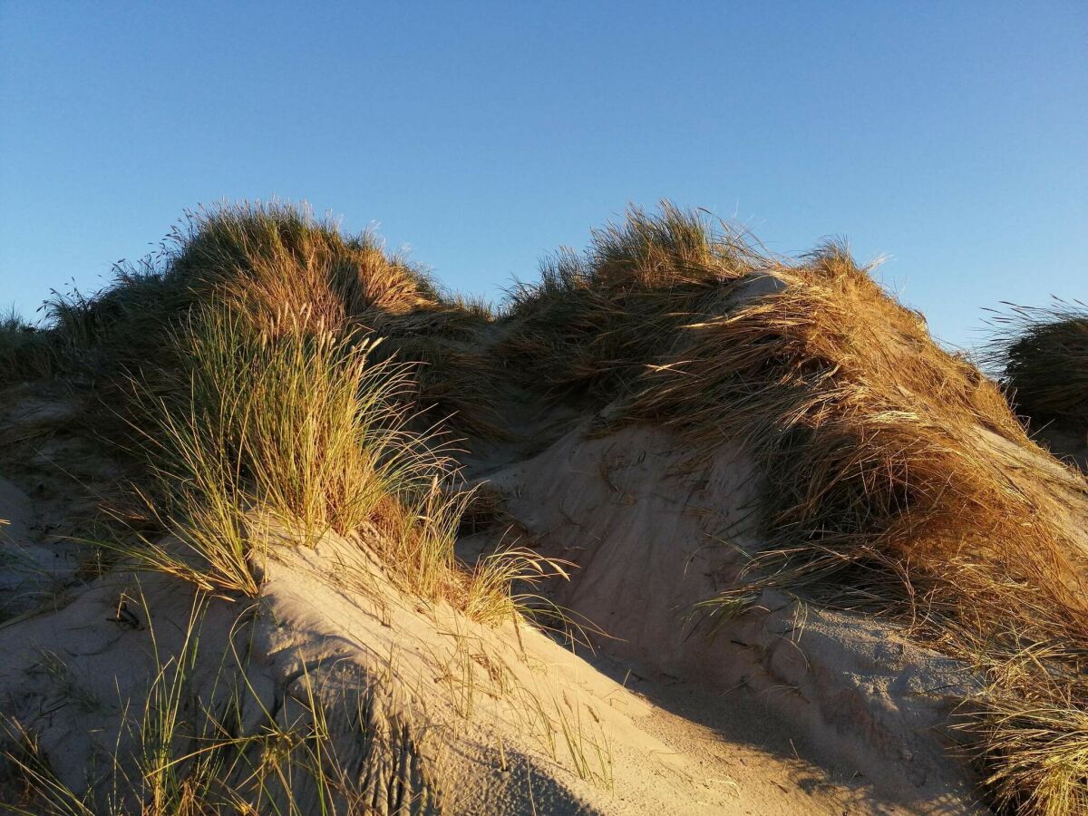 Holiday house 6 person holiday home in Ringkøbing-By Traum - Outdoor photo 5