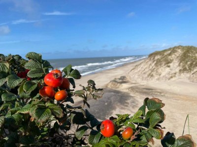 Holiday house 6 person holiday home in Ringkøbing-By Traum - Outdoor photo 9