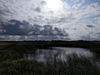 Holiday house 6 person holiday home in Ringkøbing-By Traum - Outdoor photo 10