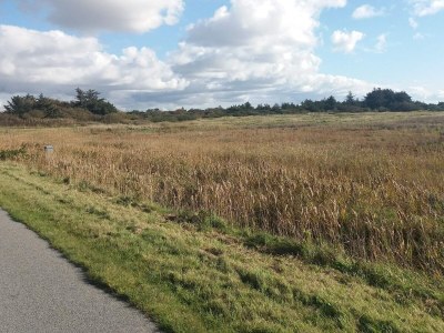 Holiday house 6 person holiday home in Ringkøbing-By Traum - Outdoor photo 16