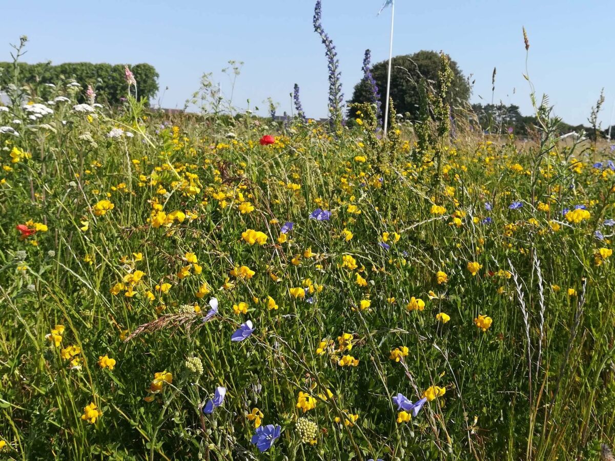 Holiday house 4 person holiday home in Nakskov-By Traum - Outdoor photo 4