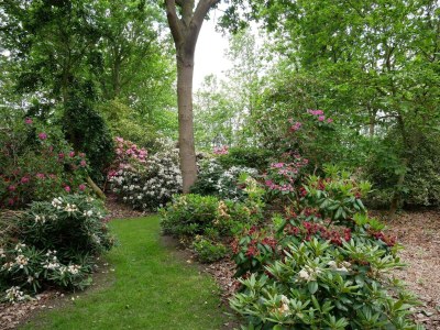 Holiday house 4 person holiday home in Nakskov-By Traum - Outdoor photo 11