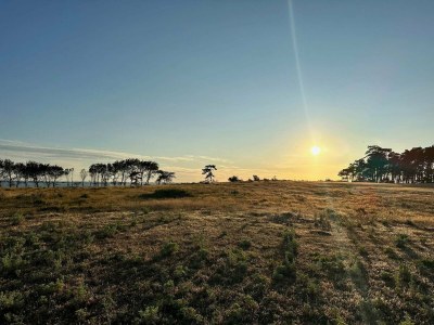 Holiday house 4 person holiday home in Nakskov-By Traum - Outdoor photo 21