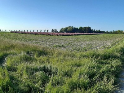 Holiday house 4 person holiday home in Nakskov-By Traum - Outdoor photo 22