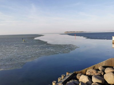 Holiday house 4 person holiday home in Nakskov-By Traum - Outdoor photo 28