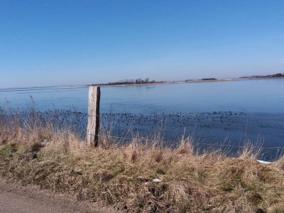 Holiday house 4 person holiday home in Nakskov-By Traum - Outdoor photo 30