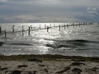 Holiday house 4 person holiday home in Nakskov-By Traum - Outdoor photo 31