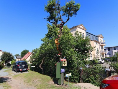 Apartment Ferienwohnung Sonnenterrasse, Ahlbeck - Outdoor photo 10