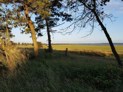 Holiday house 6 Personen Ferienhaus in Løgstør - Outdoor photo 19
