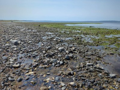 Holiday house 6 Personen Ferienhaus in Løgstør - Outdoor photo 34
