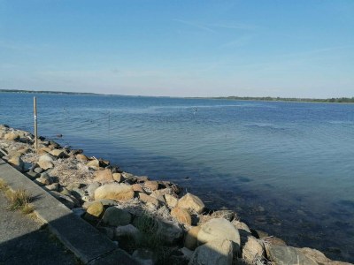 Holiday house 8 Personen Ferienhaus in Hals-By Traum - Outdoor photo 11