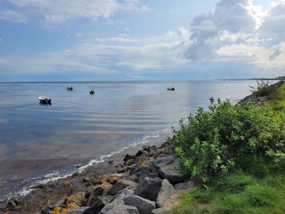 Holiday house 8 Personen Ferienhaus in Hals-By Traum - Outdoor photo 35