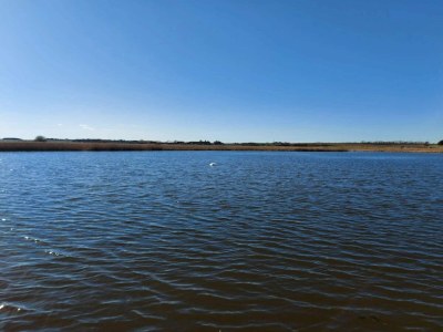 Holiday house 8 person holiday home in Løgstør-By Traum - Outdoor photo 8