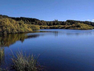 Holiday house 8 person holiday home in Løgstør-By Traum - Outdoor photo 9