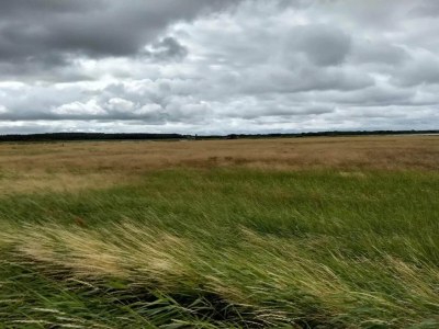 Holiday house 8 person holiday home in Løgstør-By Traum - Outdoor photo 16