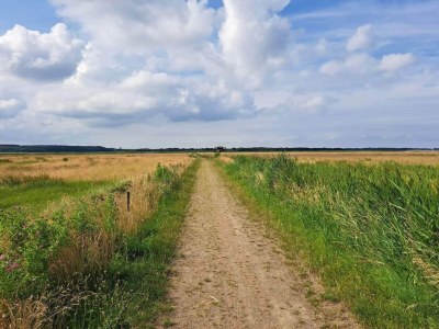 Holiday house 8 person holiday home in Løgstør-By Traum - Outdoor photo 26