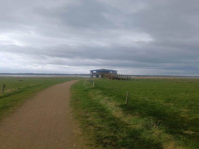 Holiday house 8 person holiday home in Løgstør-By Traum - Outdoor photo 30