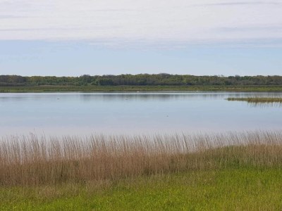 Holiday house 8 person holiday home in Løgstør-By Traum - Outdoor photo 31